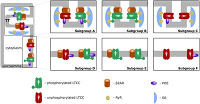 Degradation of T-Tubular Microdomains and Altered cAMP Compartmentation Lead to Emergence of Arrhythmogenic Triggers in Heart Failure Myocytes: An in silico Study